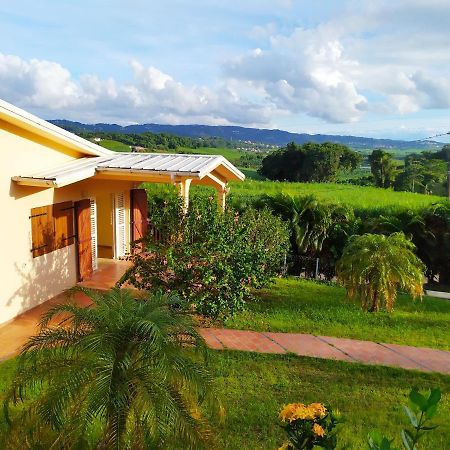 Studio Goyave Ducos Exterior foto